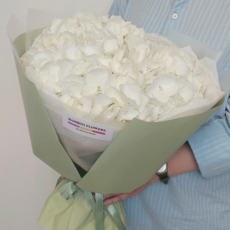 Белое облако , стандартный