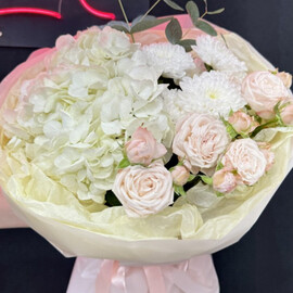 Солнечный зайчик