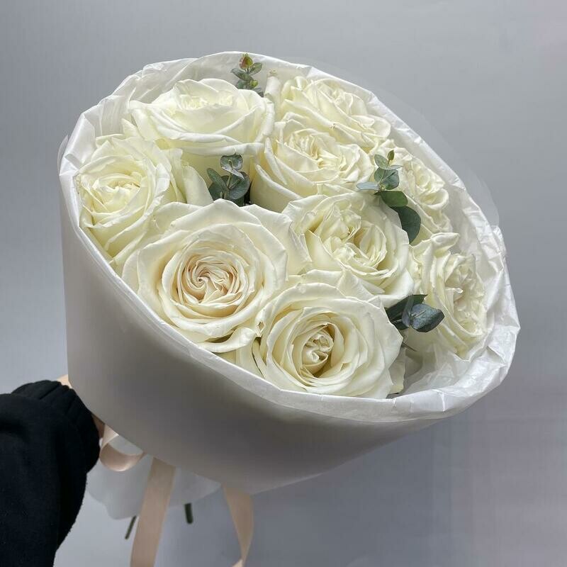 Buket iz 9 belih roz Playa Blanka, buket iz 9 belih roz playa blanka