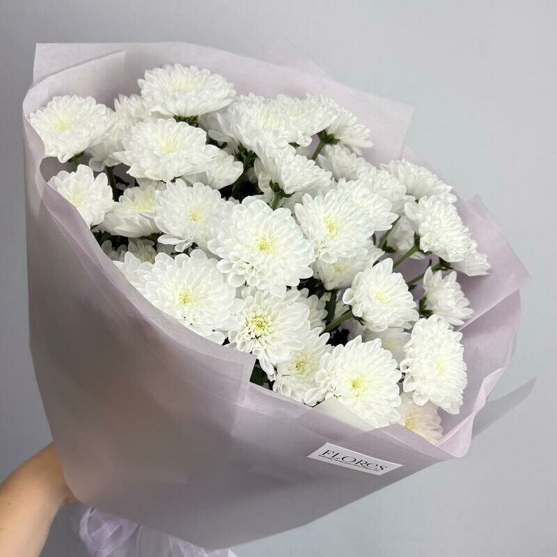 Stojkie hrizantemi Altaj 7 sht v vozdushnoj upakovke, stojkie hrizantemi altaj 7 sht v vozdushnoj upakovke