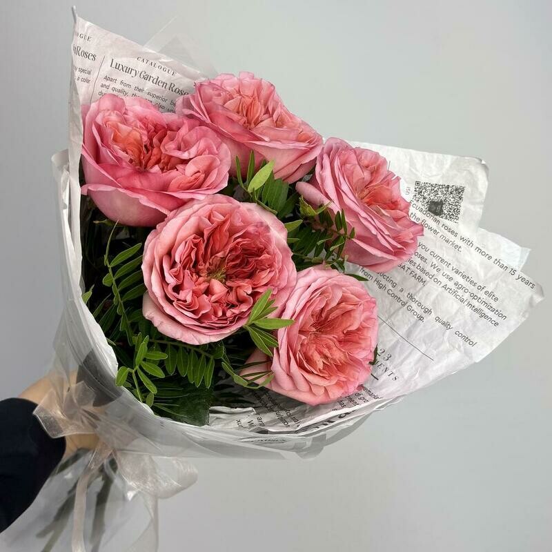 5 premial_nih pionovidnih roz v stil_nom oformlenii, 5 premial_nih pionovidnih roz v stil_nom oformlenii