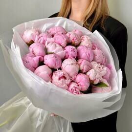 25 pink peonies in a delicate bouquet