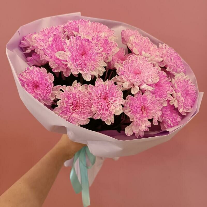 Малиновая зефирка, стандартный