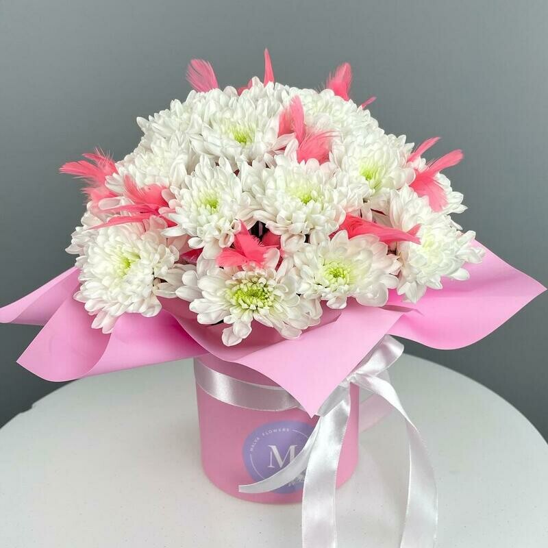 Кустовая хризантема с розовыми пёрышками в коробке, стандартный