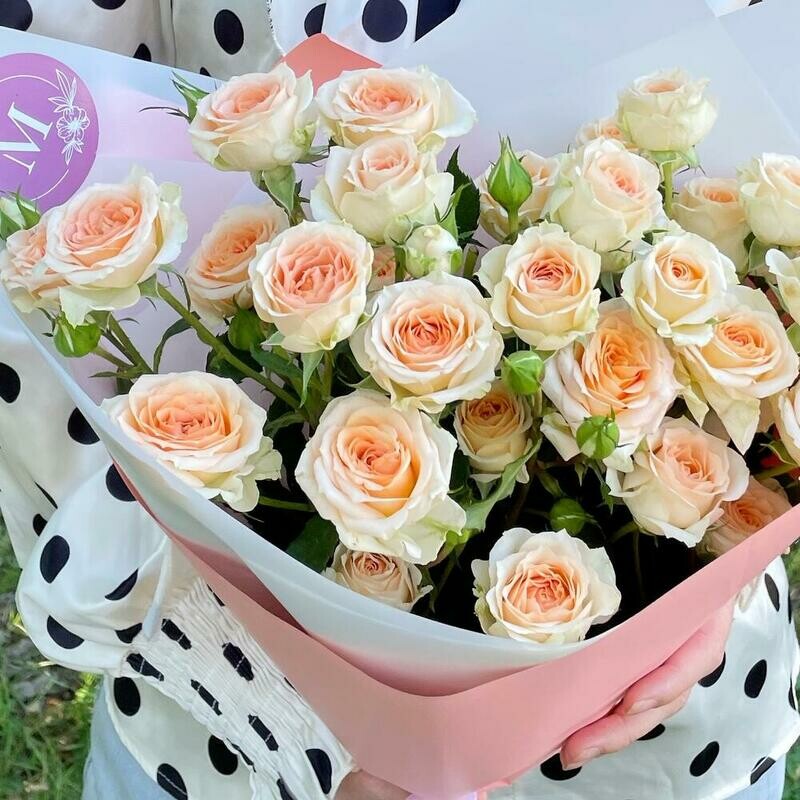 Персиковые кустовые розы, стандартный