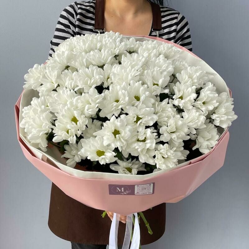 Ромашковые хризантемы, стандартный