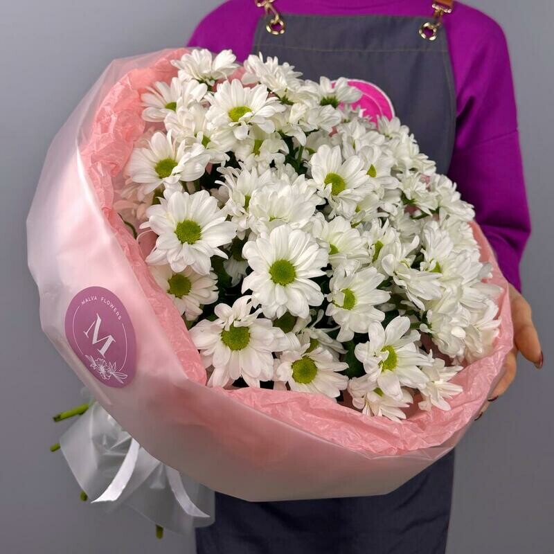 Нежный ромашковый букет 9 веточек, стандартный