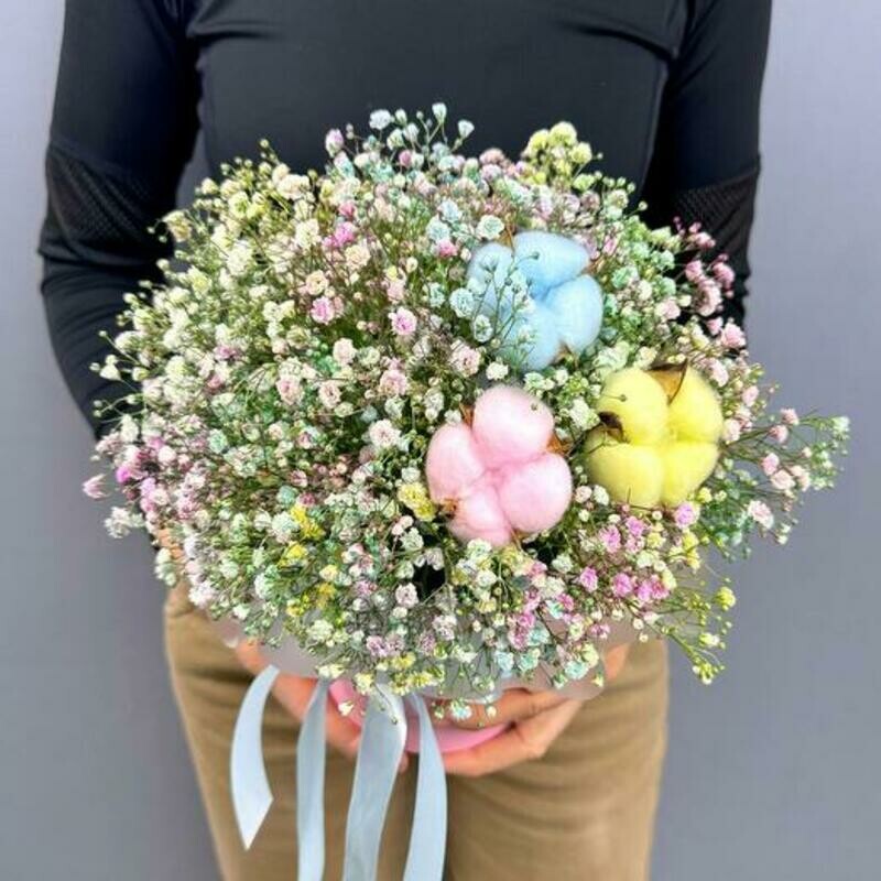 Радужная гипсофила с хлопком в коробке, стандартный