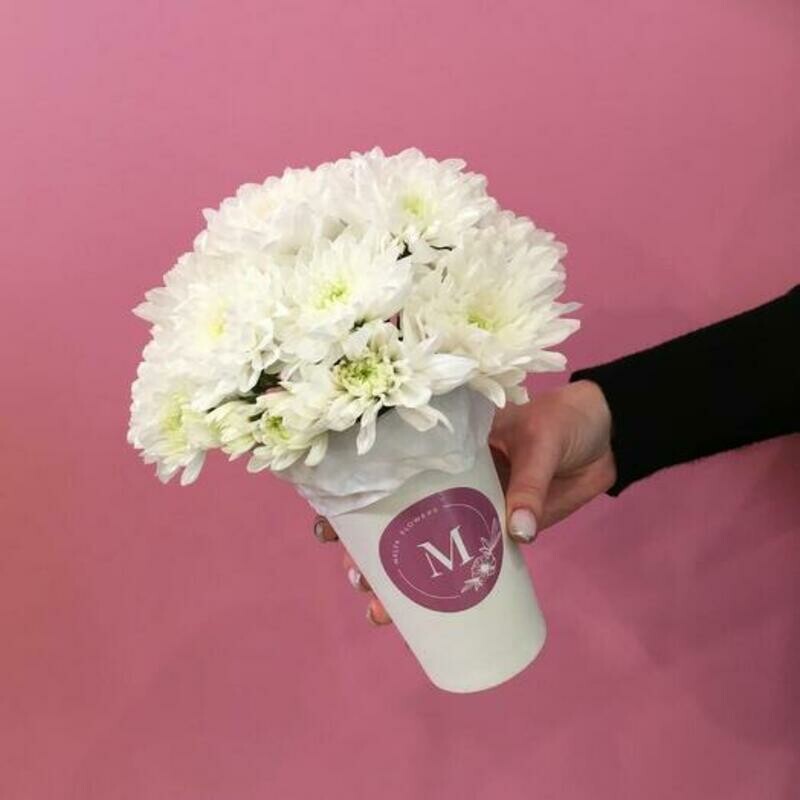 Хризантема в стаканчике, стандартный