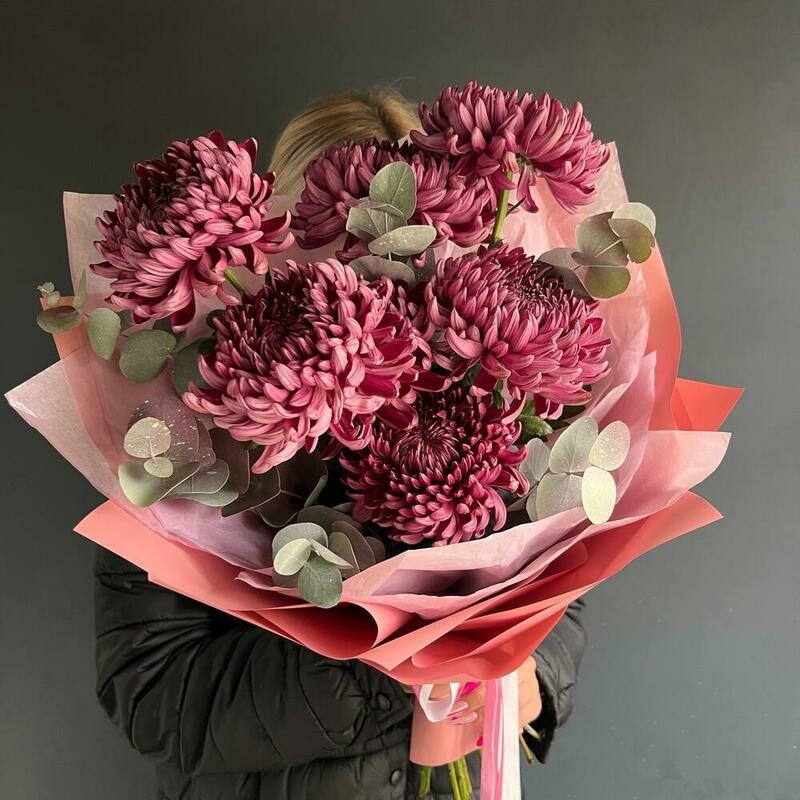 Hrizantema Bigudi, premium