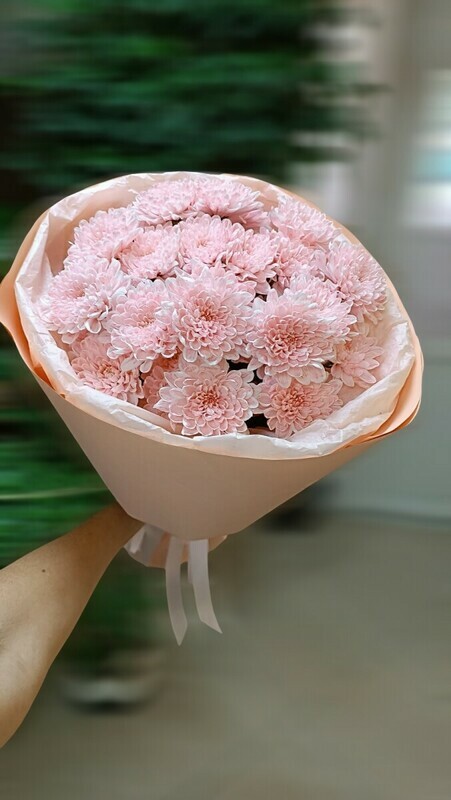 Букет из 5 крашеных хризантем кустовых, букет из 5 крашеных хризантем кустовых