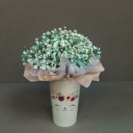 Stakanchik s gipsofiloj