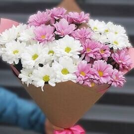 Buket iz 7 hrizantem miks