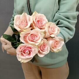 Роза Эквадор 50 см 7 штук