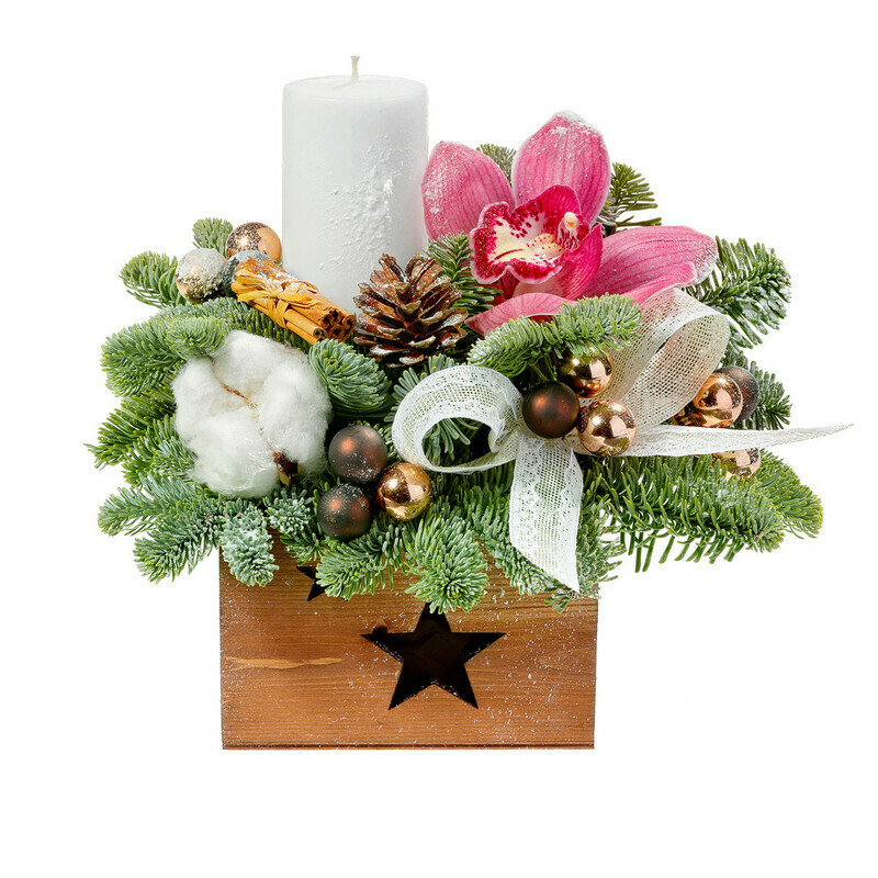 Зимняя Орхидея, уменьшенный