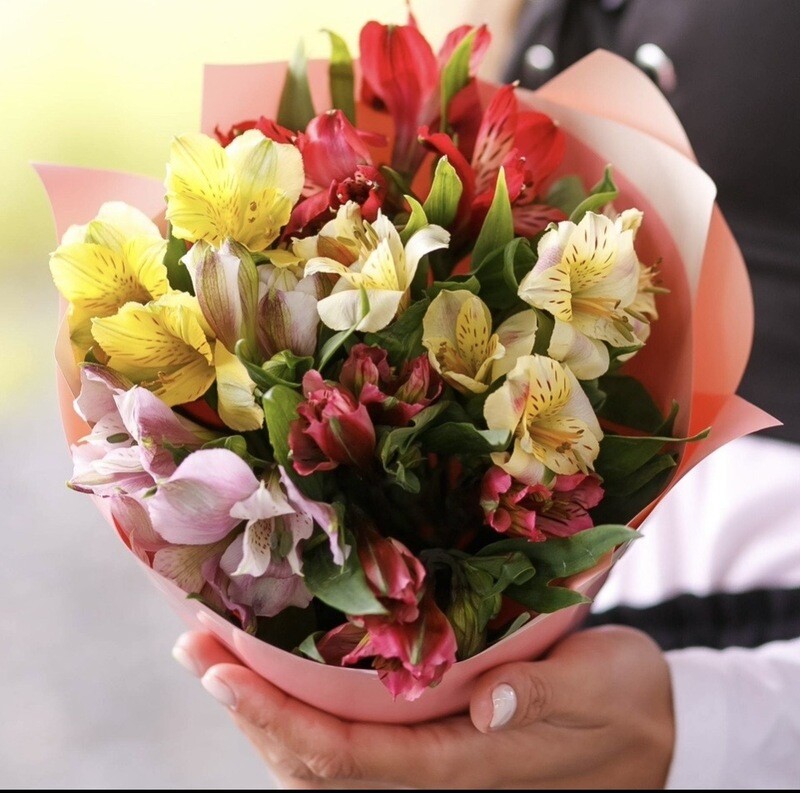 Nezhnie al_stromerii, nezhnie al_stromerii 5