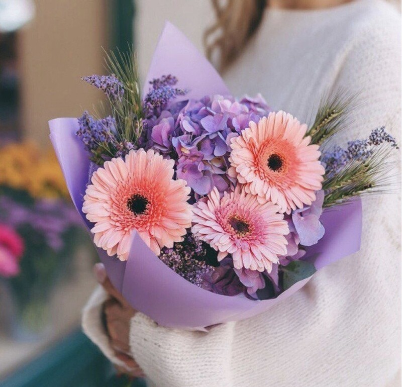 Fioletovij zakat, reduced