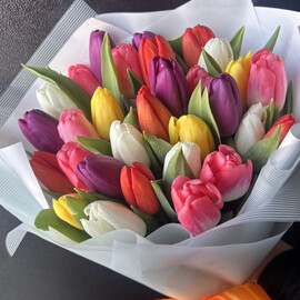 Тюльпаны микс 
