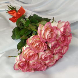 Роза Джумилия 19 дана, 60 см