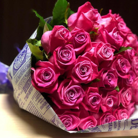 Раушан гүлдері «Ғарыштық»