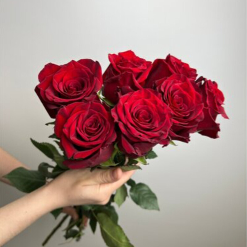 7 krasnih roz, 7 krasnih roz