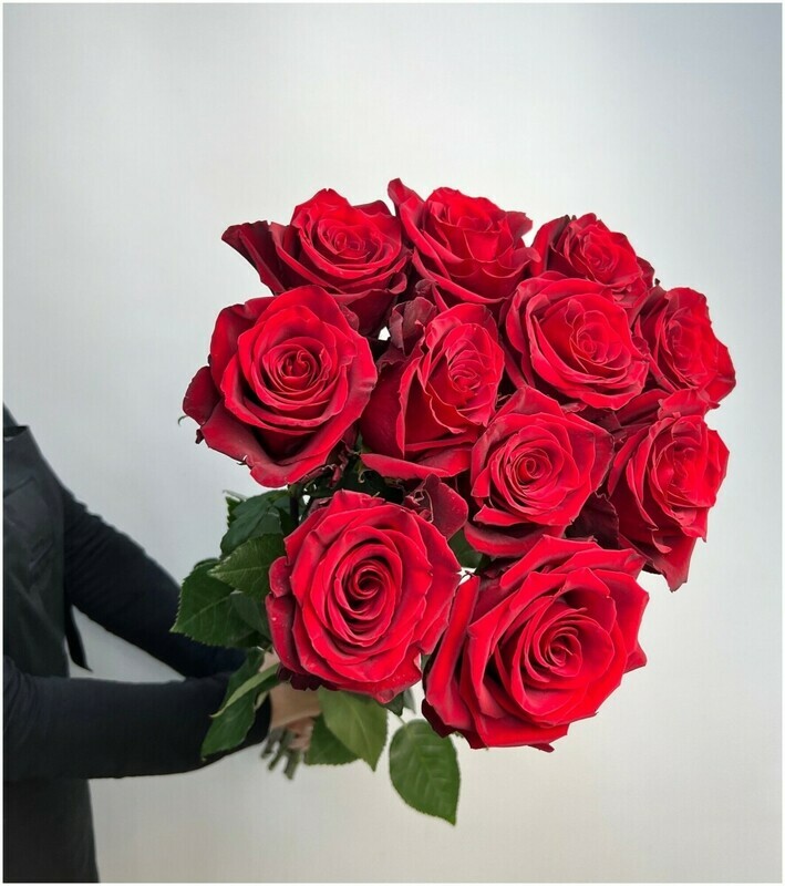 11 krasnih roz, 11 krasnih roz