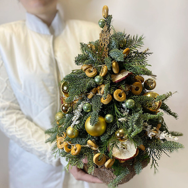 YOlka s barankami, premium