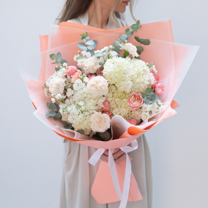 Дневники Принцессы, стандартный