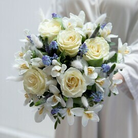 Время Подснежников