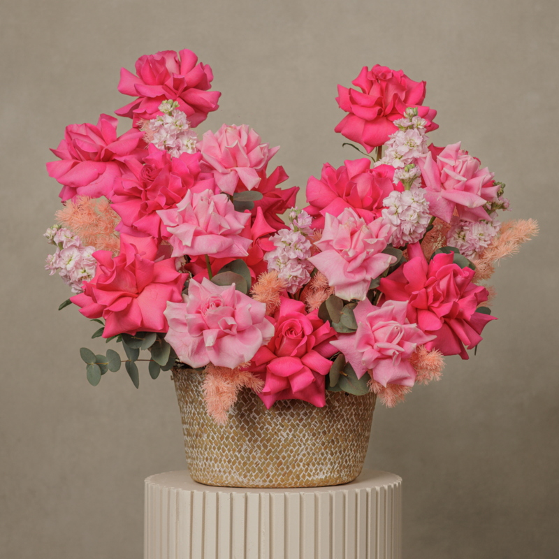 Сердце Розы, стандартный