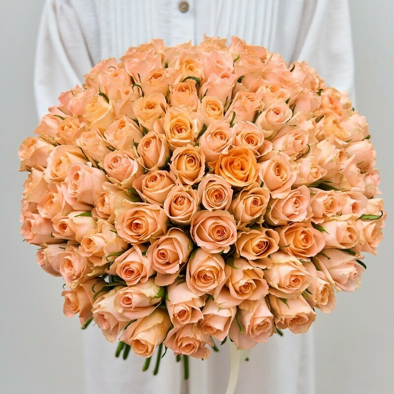 101 Persikovaya Kenijskaya Roza, 101 roza