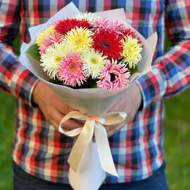 Raznotcvetnie Gerberi