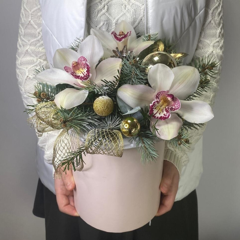 Ledyanie Orhidei, standart