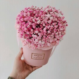 Rozovaya gipsofila v korobochke