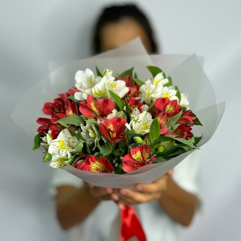 Изящная альстроомерия микс, изящная альстромерия микс