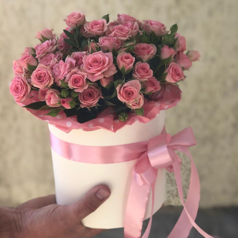 Ангелина, стандартный