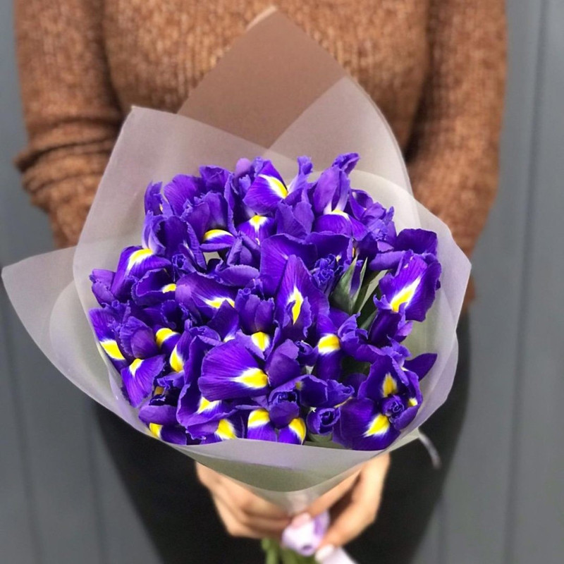 Bouquet of irises, standart