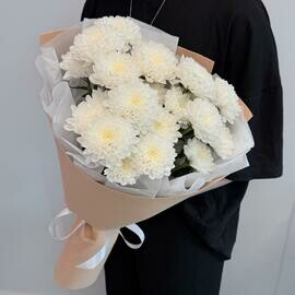 Buket belaya hrizantema v upakovke 3sht