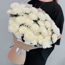 Buket belaya kustovaya hrizantema 7 sht v oformlenii