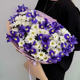 Букет ирисы и кустовая хризантема ромашка