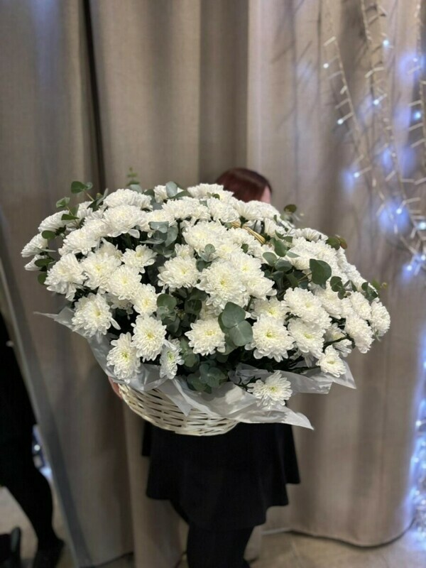 Korzina «Oblachko», standart