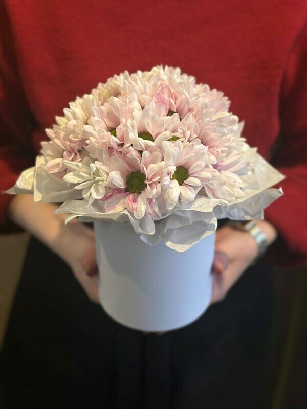 buket iz hrizantem, standart