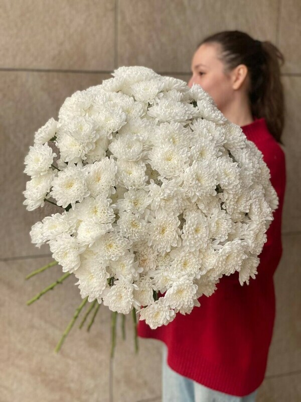 ohapka hrizantem 25sht eko-frendli, standart