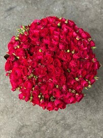 моно из 35 Ред баблз