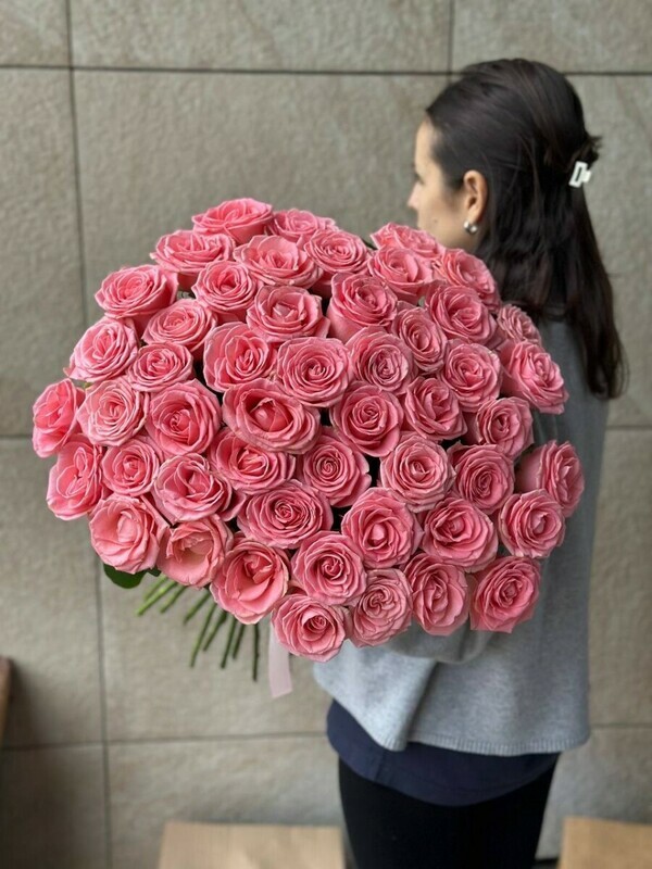 sofi loren 51, standart