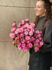 11 леди бомбастиков 