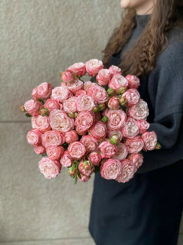 15 мадам бомбастик эко-френдли, стандартный