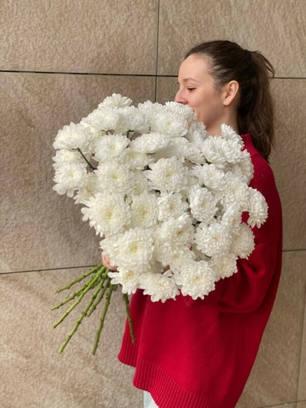 ohapka hrizantem 11sht eko-frendli, standart