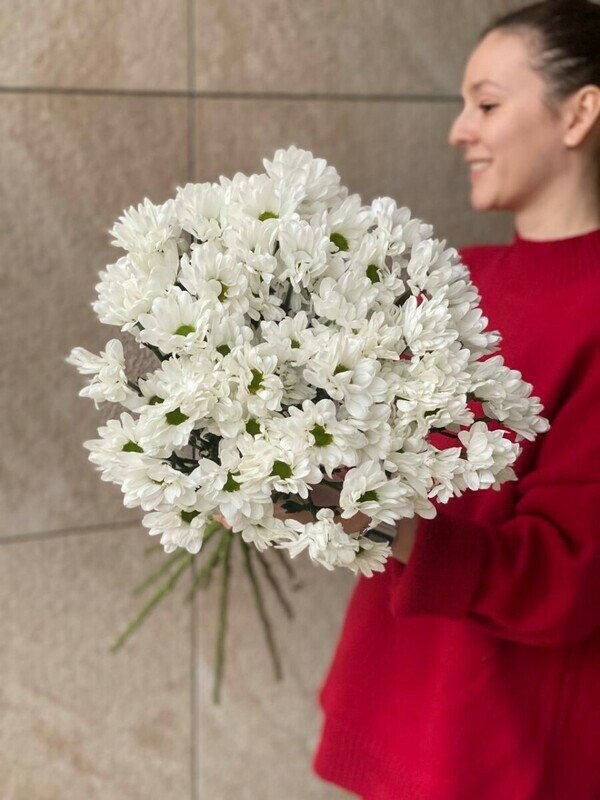 ohapka hrizantem 9sht eko-frendli, standart