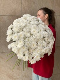 охапка хризантем 15шт эко-френдли